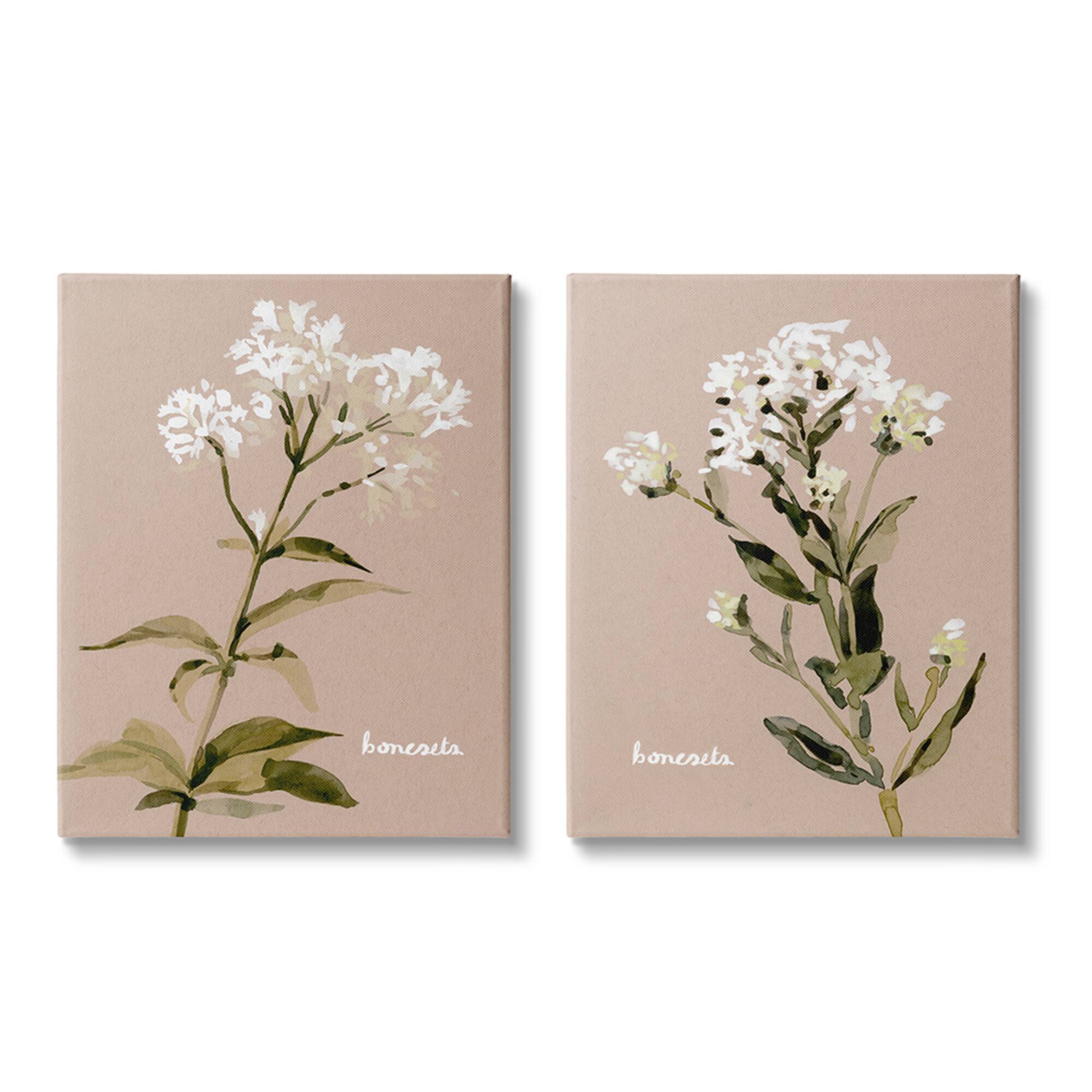 Stupell Industries White Boneset Flowers Soft Green White Brown Canvas Wall Art